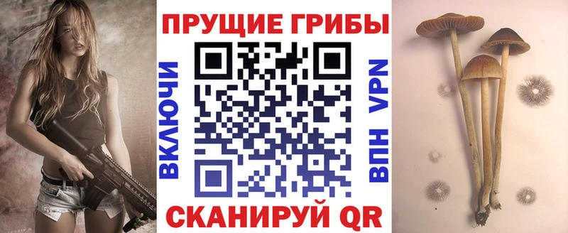 Псилоцибиновые грибы прущие грибы  Сердобск 
