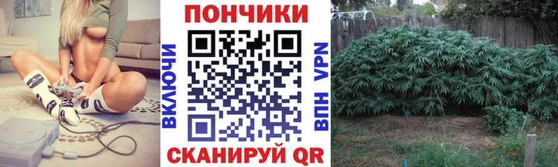 Бошки Шишки OG Kush  где можно купить наркотик  blacksprut   Сердобск 
